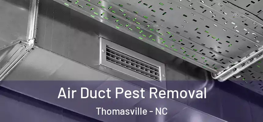 Air Duct Pest Removal Thomasville - NC