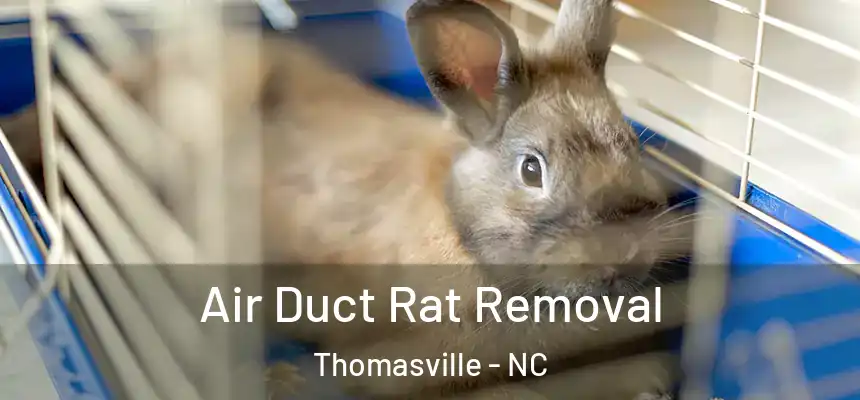 Air Duct Rat Removal Thomasville - NC