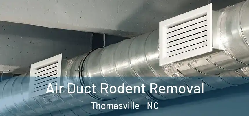  Air Duct Rodent Removal Thomasville - NC