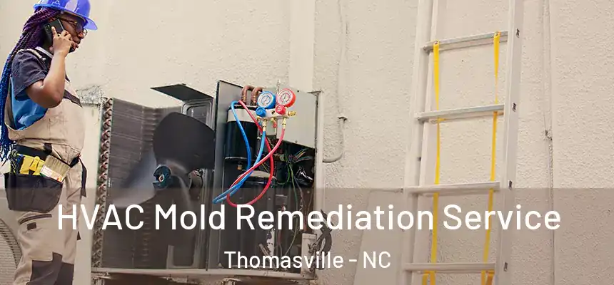  HVAC Mold Remediation Service Thomasville - NC