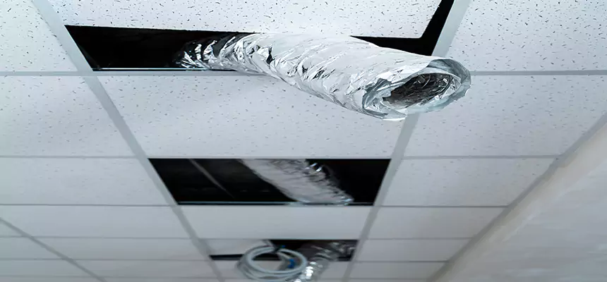 Affordable HVAC Sanitizing After Pest Removal in Thomasville