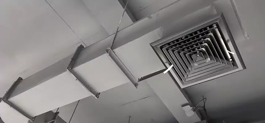 Our Pest Removal From Ducts Services in Thomasville, NC