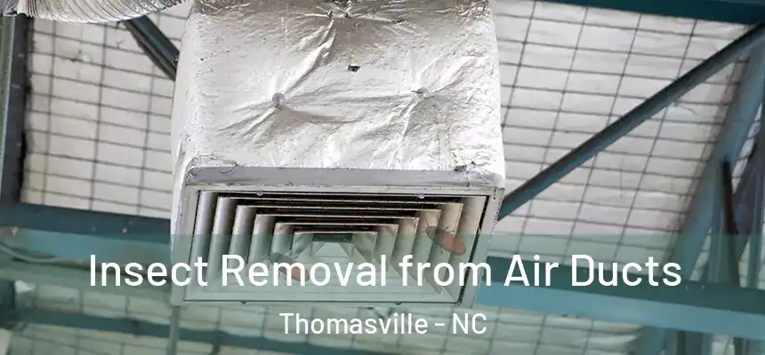  Insect Removal from Air Ducts Thomasville - NC