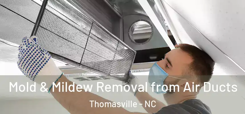  Mold & Mildew Removal from Air Ducts Thomasville - NC