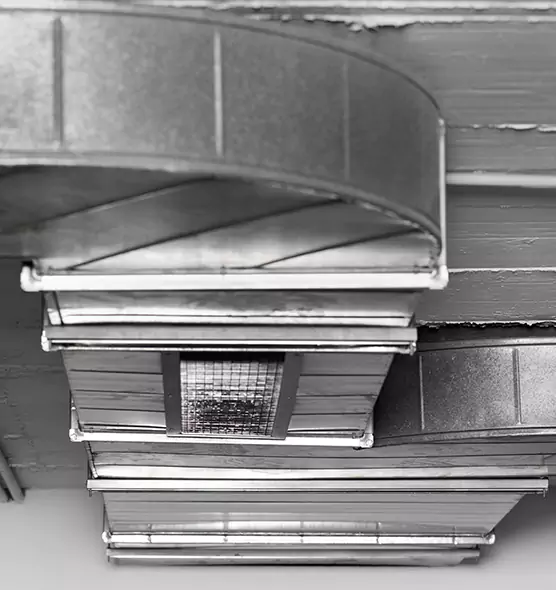 Professional Air Duct Pest Removal in Thomasville, NC