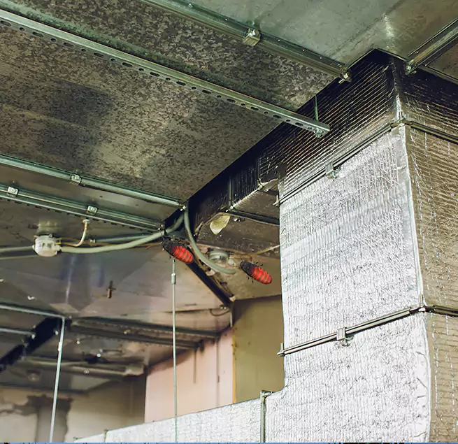 Why Homeowners & Businesses Trust Us in Thomasville, NC?