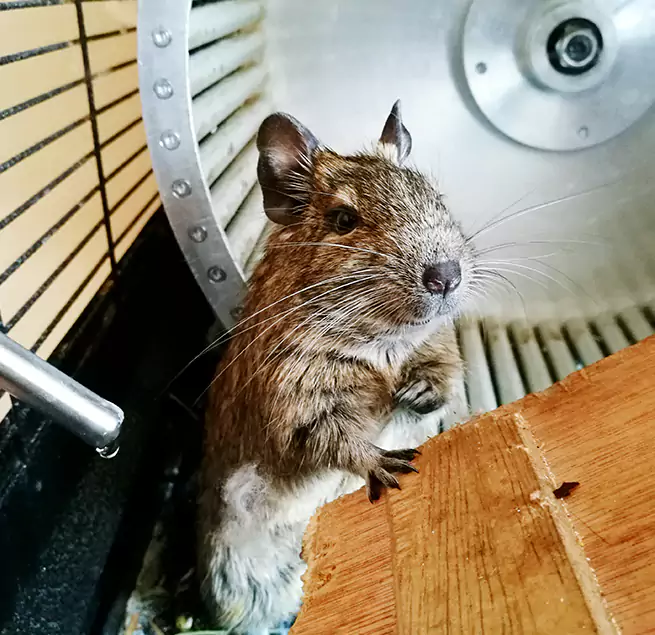 Why Homeowners & Businesses Trust Us Thomasville, NC